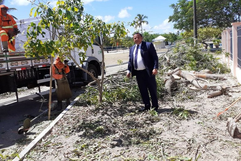 Emsurb atende pedido de Américo para substituição de árvores na Igreja Santa Tereza D' Ávila
