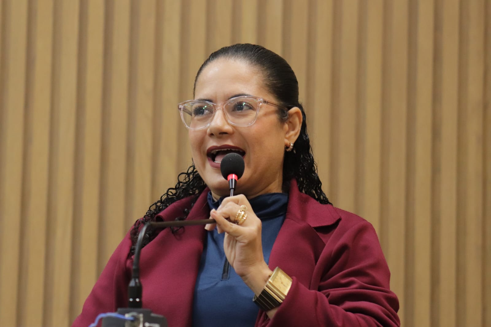 Espaço “Tribuna Livre” da CMA discute fortalecimento de políticas públicas que garantam direitos de Crianças e Adolescentes 