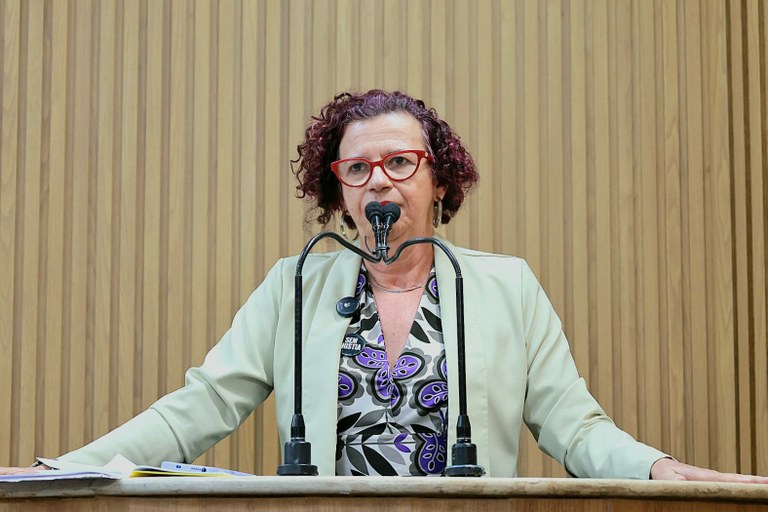 Irregularidades do transporte público em Aracaju são criticadas por vereadora Sonia Meire 