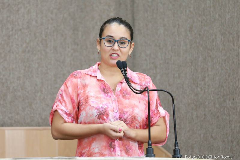 Kitty faz prestação de contas das atividades realizadas durante o recesso