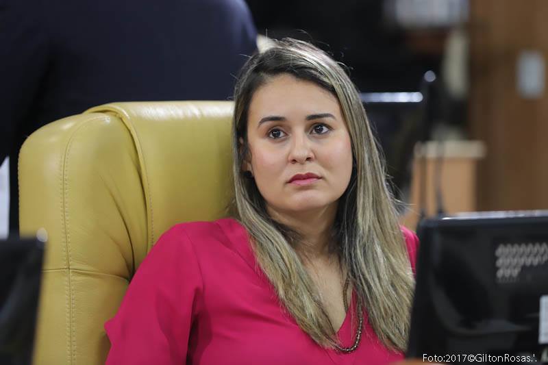 Kitty quer que MPE defina competências no combate a venda ilegal de chumbinho em Aracaju