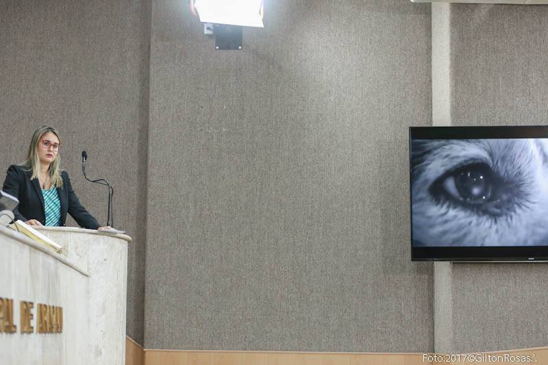 Kitty tem emenda voltada à causa animal aprovada no PPA