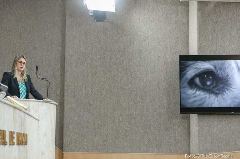 Kitty tem emenda voltada à causa animal aprovada no PPA