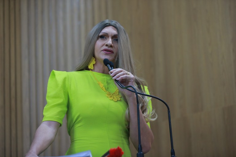 Linda Brasil denuncia as diversas formas de violência 