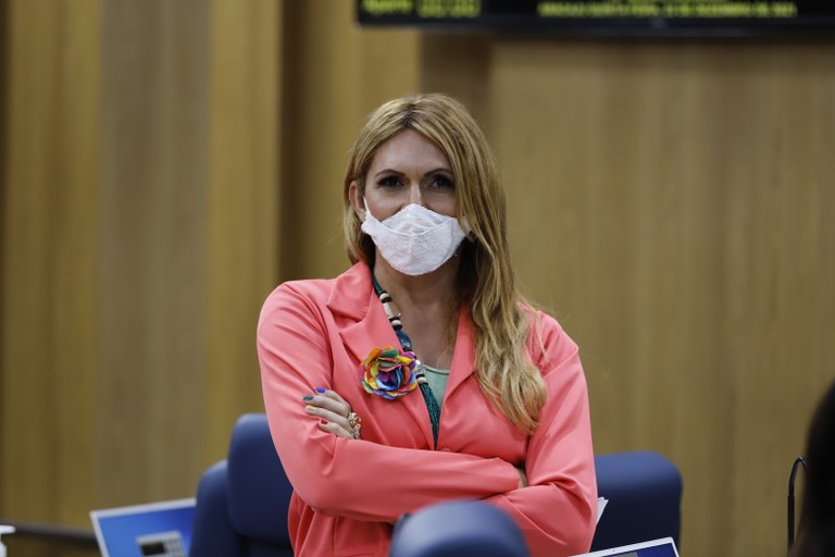 Linda Brasil encerra o ano com balanço positivo de ações