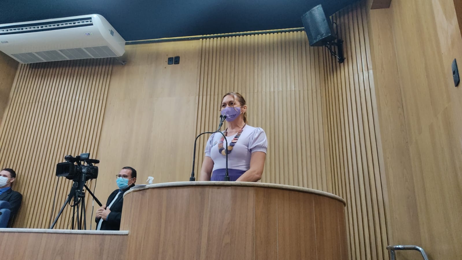 Linda Brasil leva demandas sindicais ao plenário