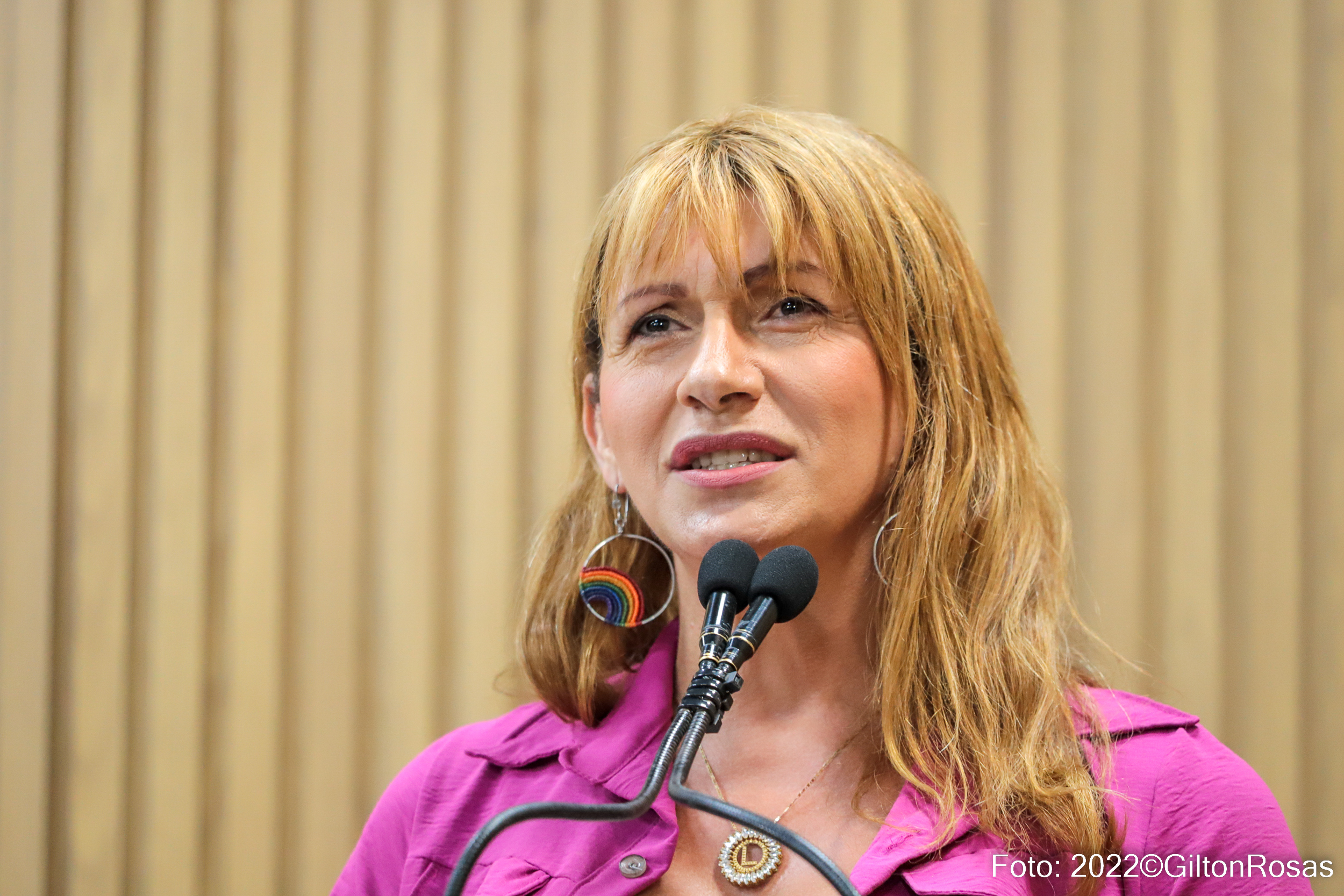 Linda Brasil reforça a defesa da democracia e os mecanismos de fortalecimento