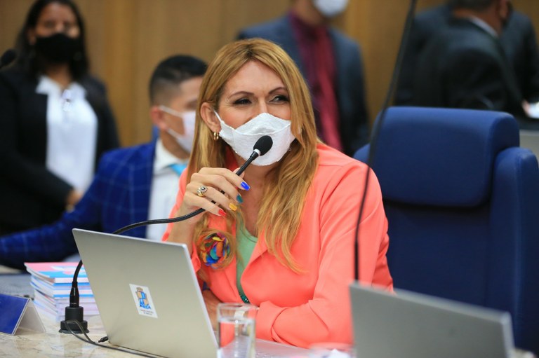 Linda Brasil reforça a importância da derrubada do veto à emenda para a implementação de Energia Solar em Prédios Públicos 