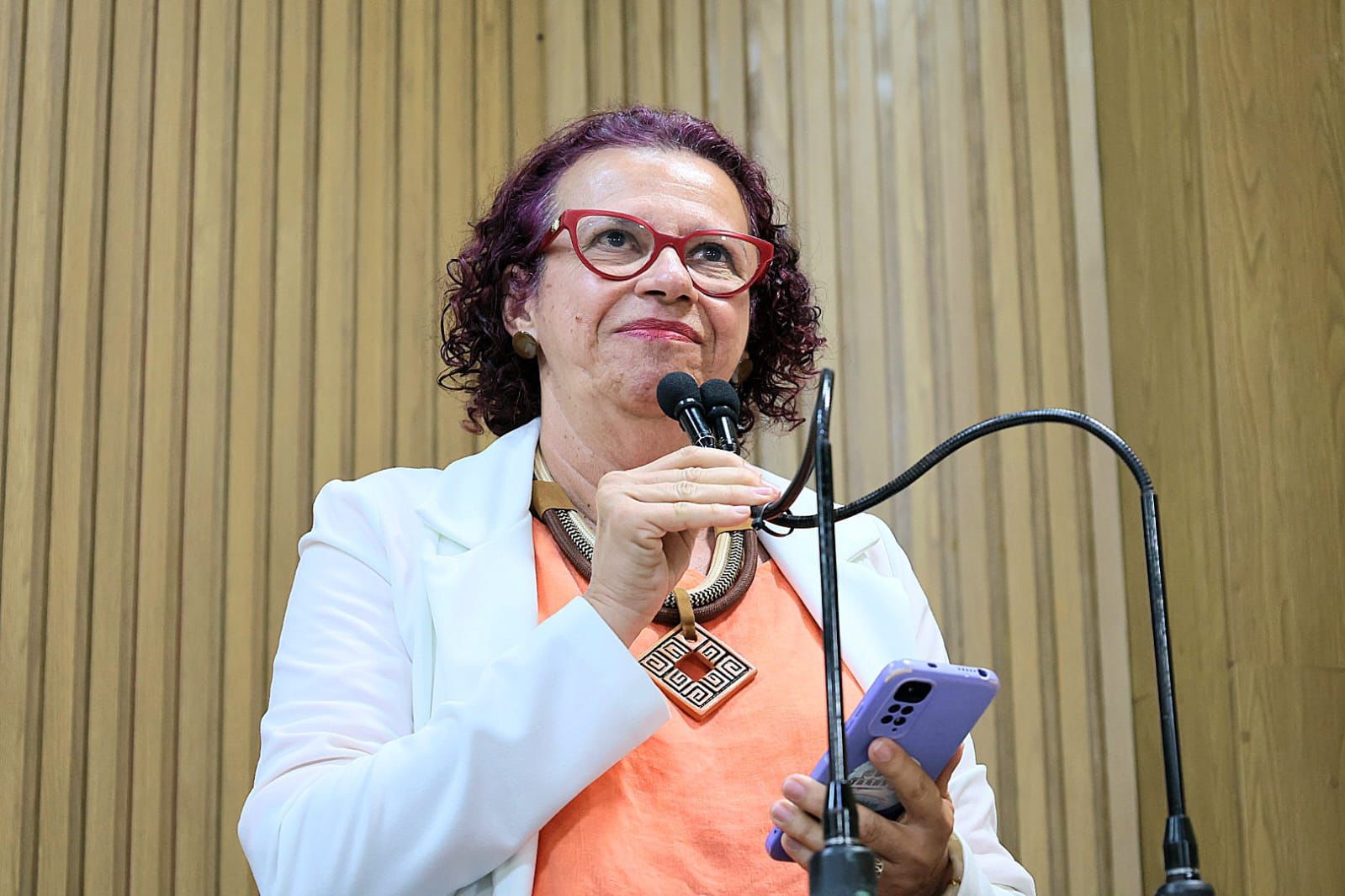 Mudança de currículo escolar pela secretaria municipal é criticada pela vereadora Sonia Meire 