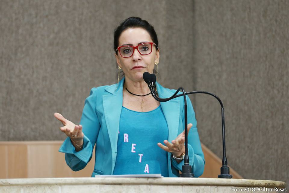 "Não existe apenas um grupo representando a oposição”, afirma Emília