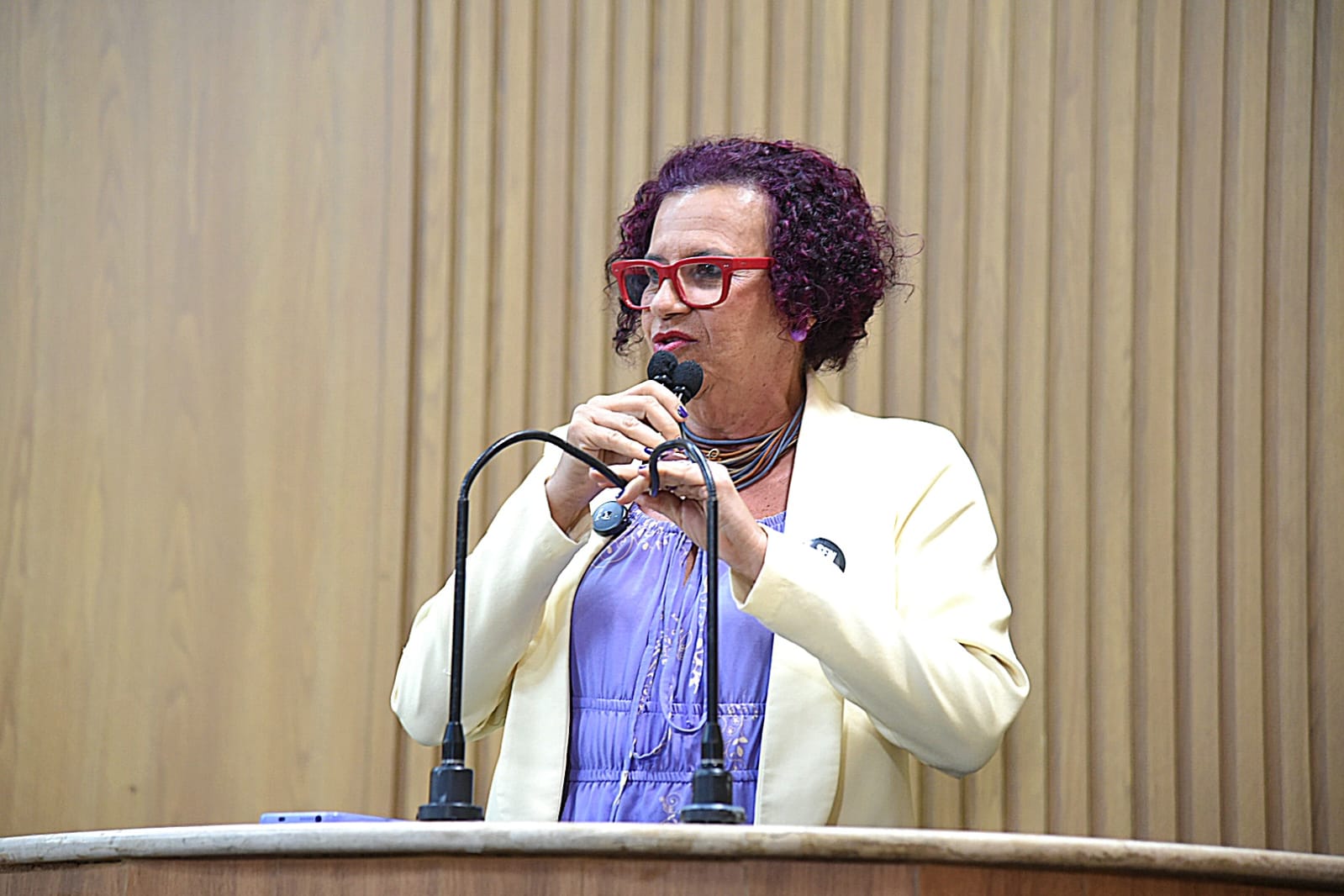 No retorno do recesso legislativo, Sonia Meire cobra vagas para crianças fora da escola 