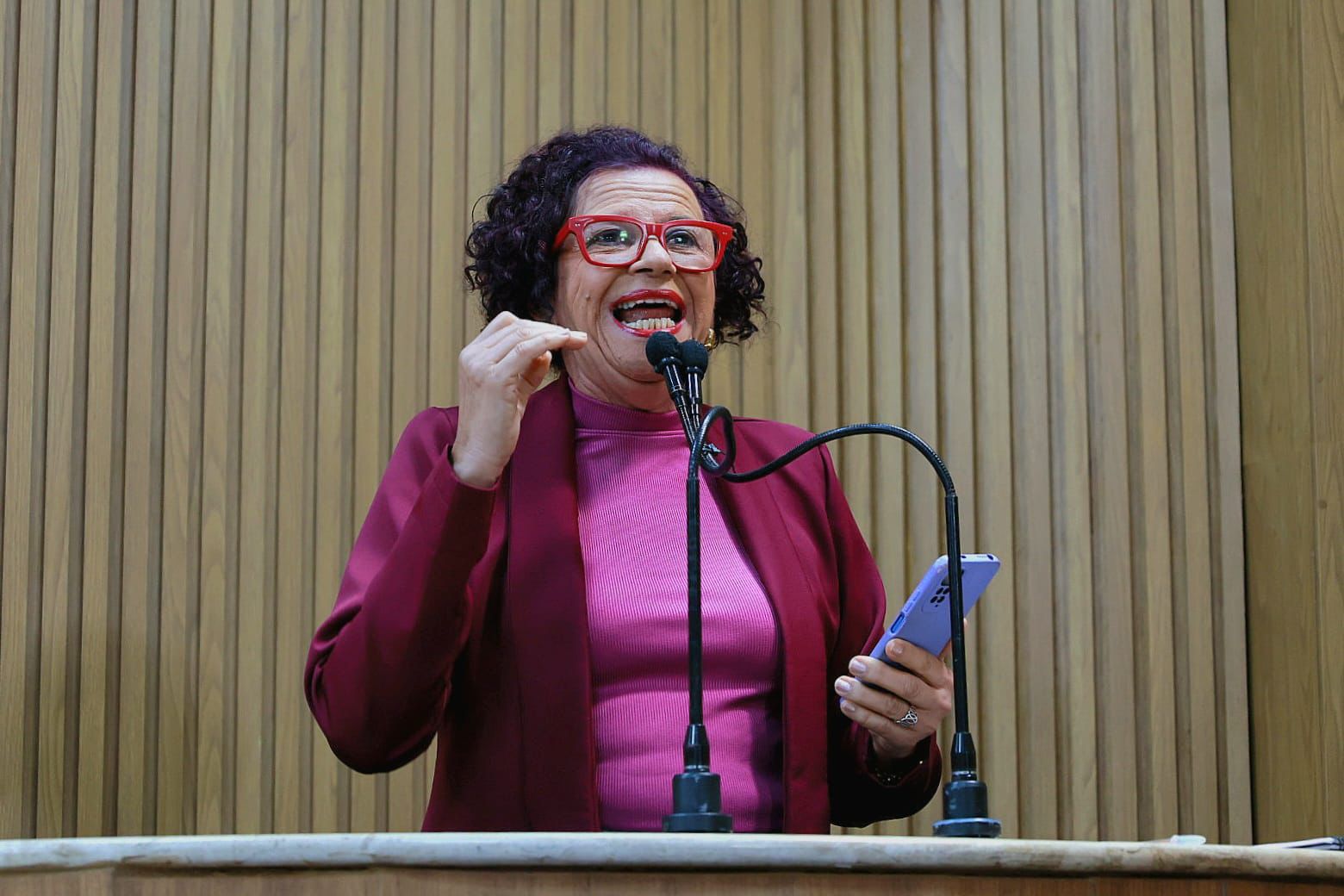 PL da devastação, aprovado no congresso nacional, é criticado por Sonia Meire 