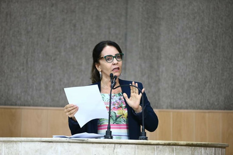 PL de Emília incentiva participação da mulher na atividade política