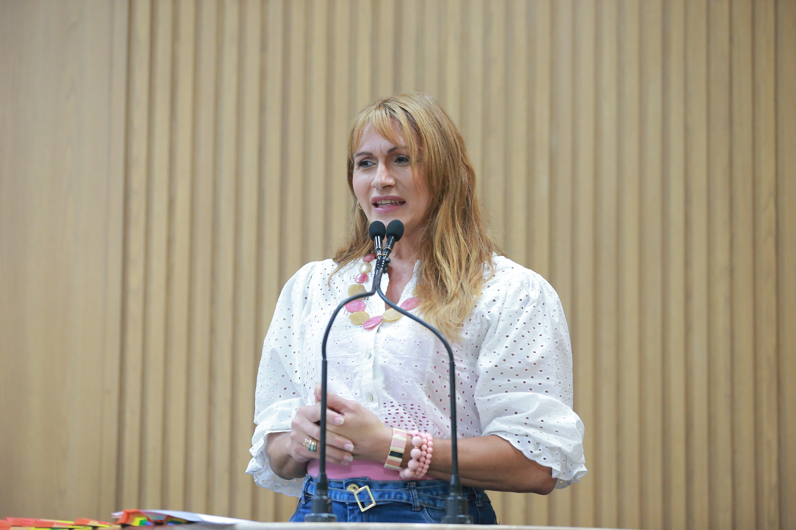 PL de Linda que prevê banco de empregos para mulheres vítimas de violência é aprovado em 1ª votação 