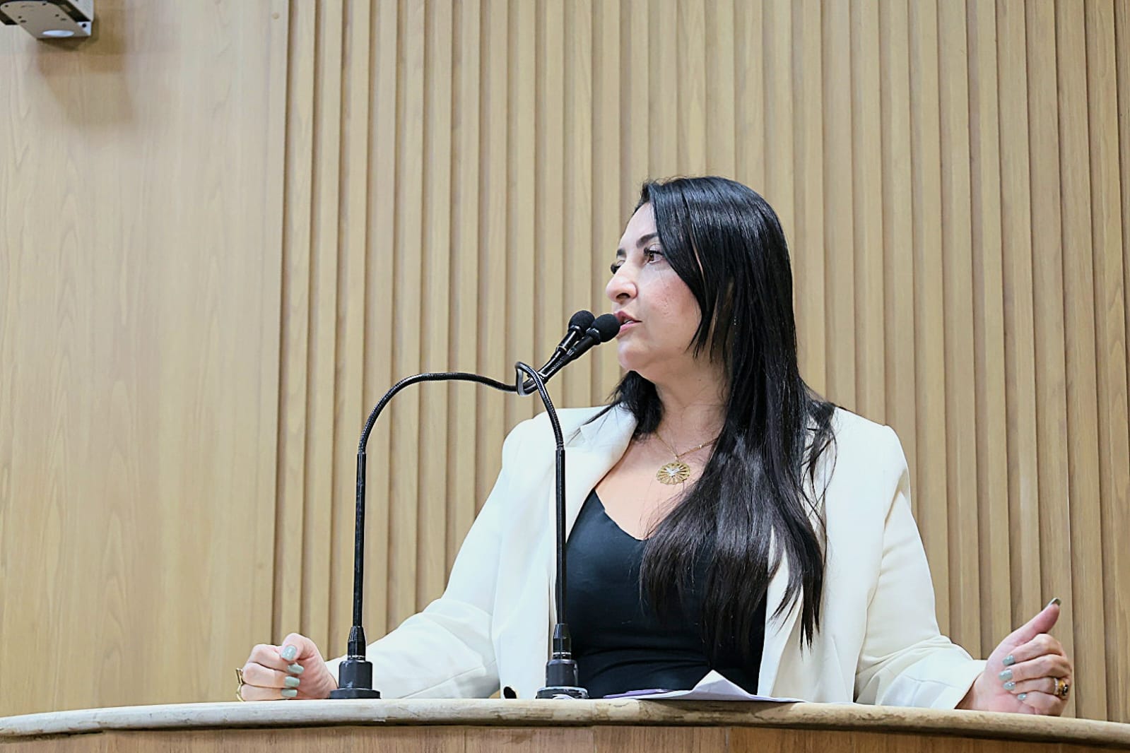 Presidente da Fundat faz apelo aos vereadores pela destinação de emendas 