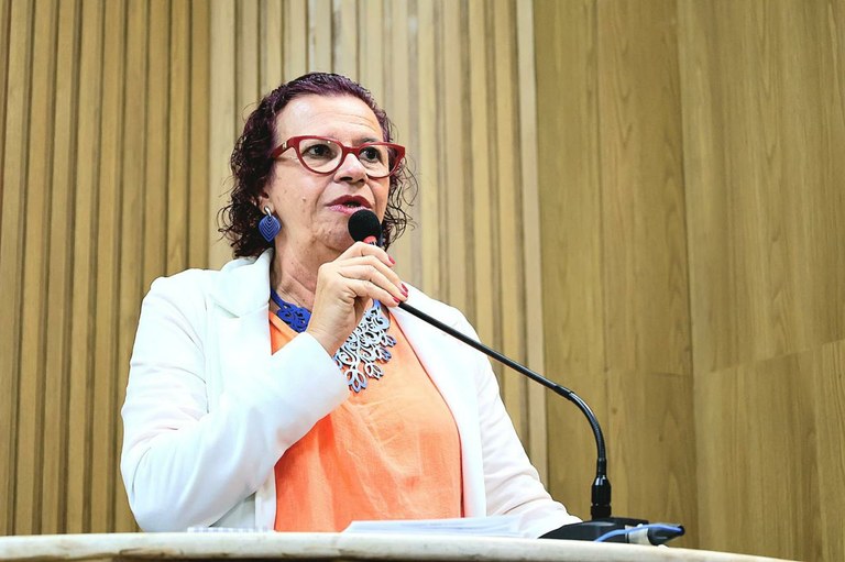  Problemas das escolas municipais são denunciados no primeiro discurso da vereadora Sonia Meire 