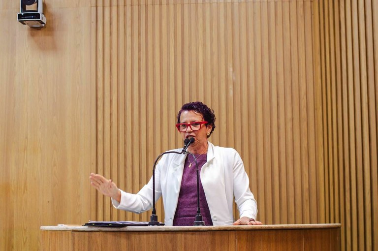 Problemas e corrupção no transporte público são denunciados pela vereadora Sonia Meire 