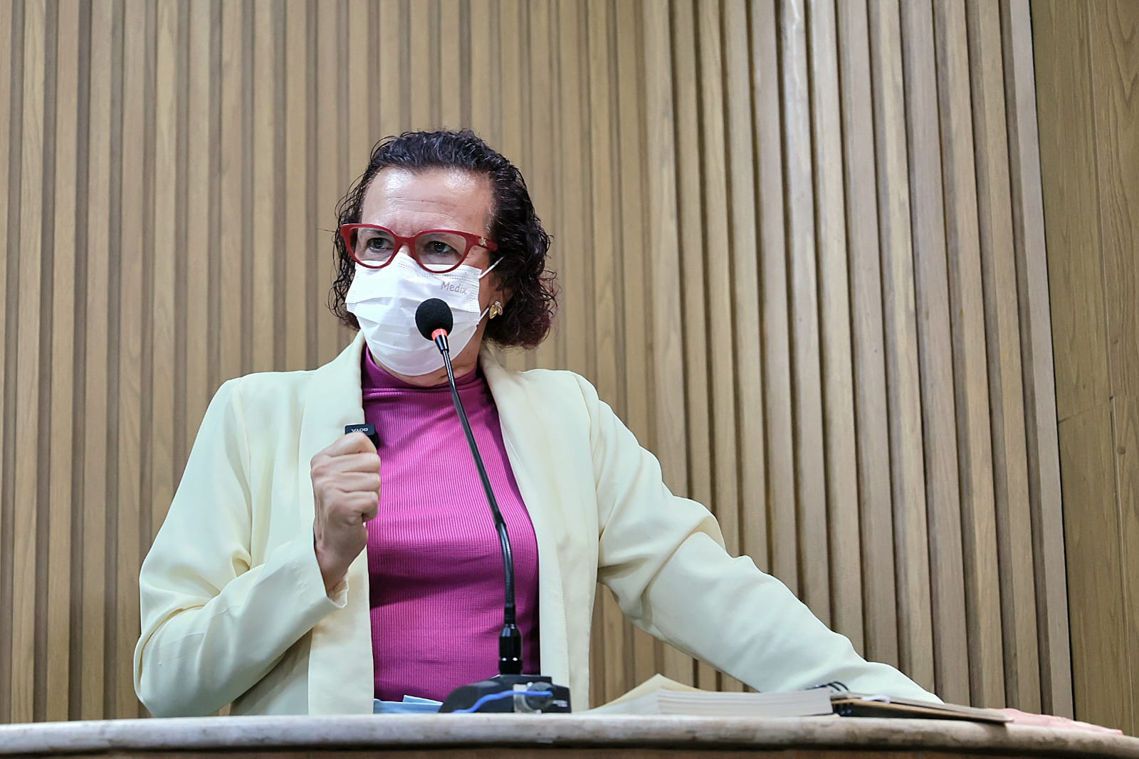 Problemas na saúde municipal são denunciados pela vereadora Sonia Meire 