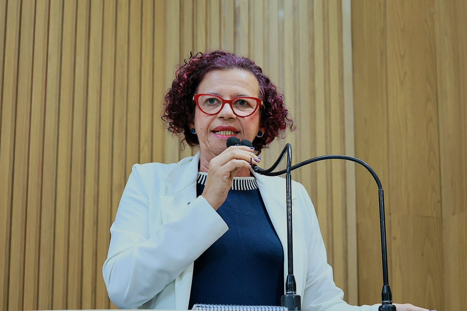 Problemas no hospital Fernando Franco são denunciados pela vereadora Sonia Meire 