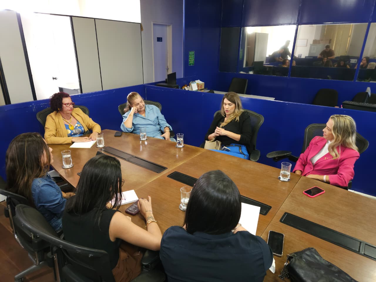 Procuradoria da Mulher da Câmara Municipal de Aracaju realiza reunião estratégica para definição de ações 