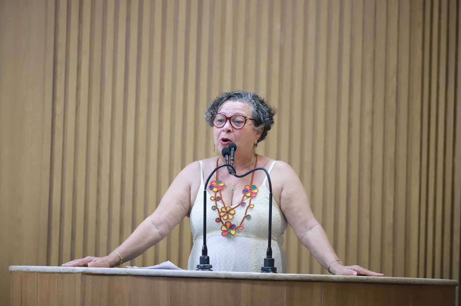 Professora Ângela  indica emendas orçamentárias para melhoria de serviços públicos em diversas áreas