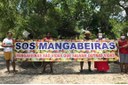 Professora Ângela Melo reafirma apoio às famílias catadoras de mangaba do Santa Maria