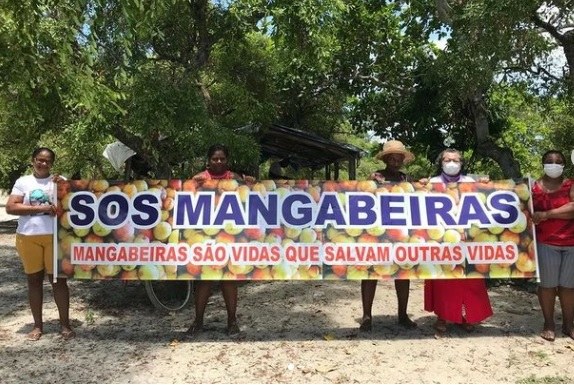 Professora Ângela Melo reafirma apoio às famílias catadoras de mangaba do Santa Maria