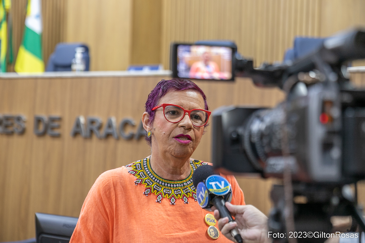 Nova vereadora: Sonia Meire toma posse nesta quinta