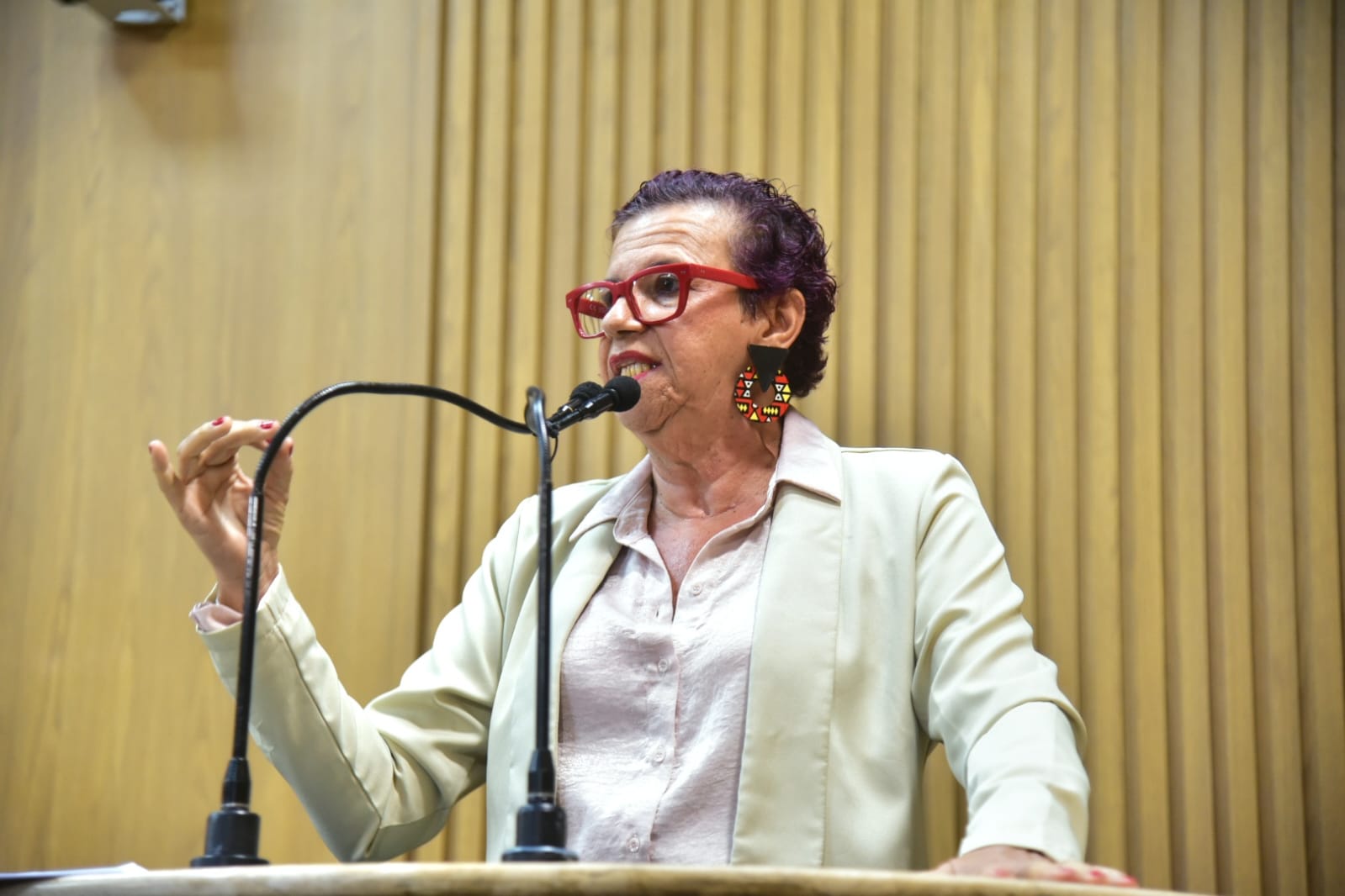 Projeto de empréstimo é aprovado na Câmara com voto contrário da vereadora Sonia Meire 