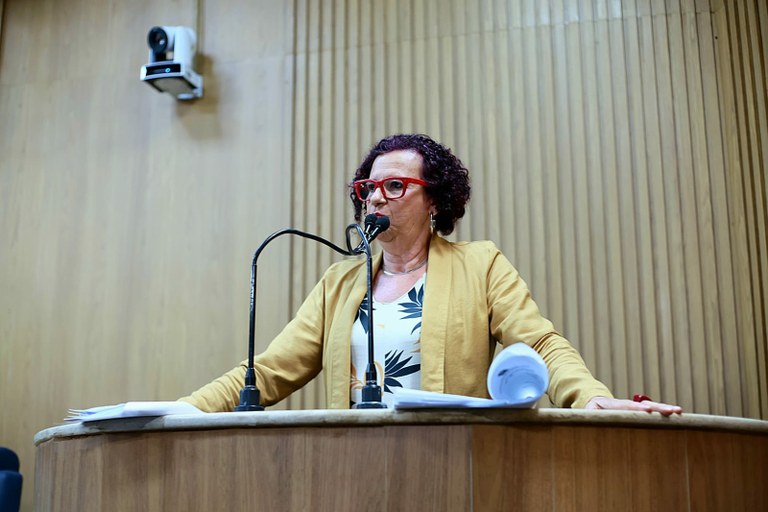 Projeto do Executivo para parcerias público-privadas é questionado por vereadora Sonia Meire 