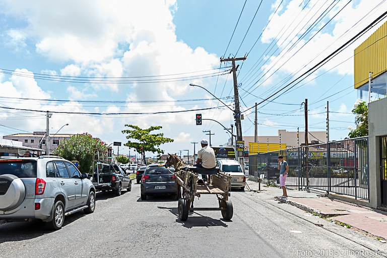 Redução de número de carroças em Aracaju contribui para a mobilidade urbana