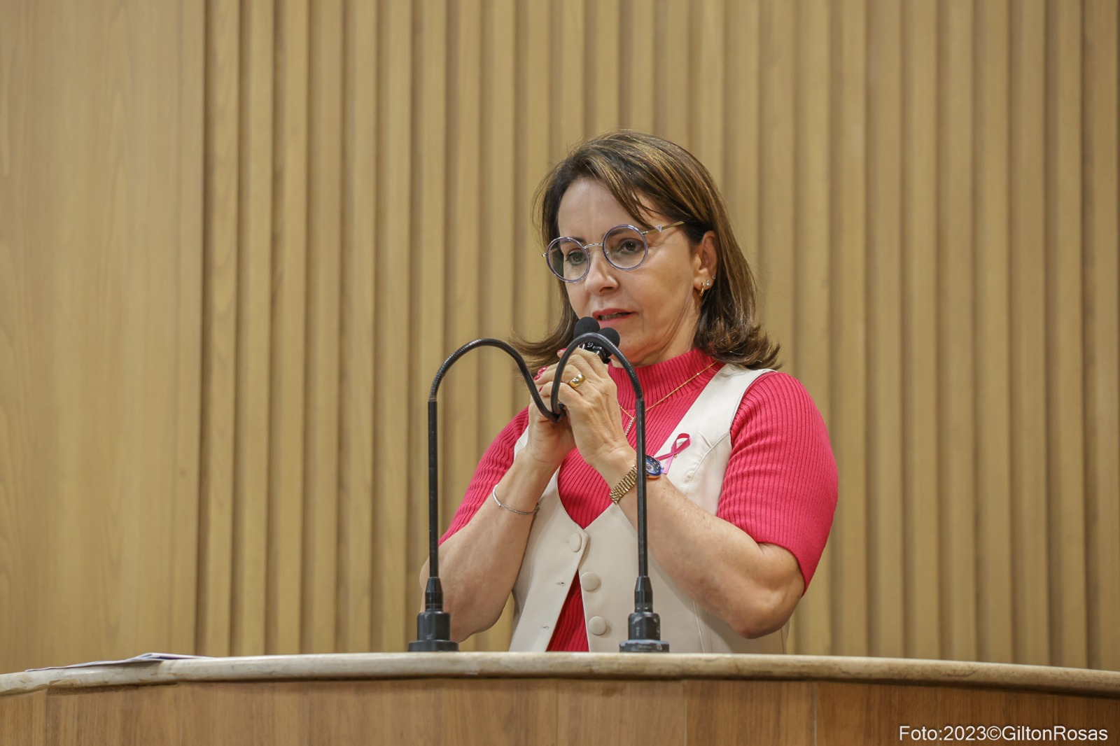 "Se Edvaldo fosse tão eficaz na gestão como é no marketing, Aracaju seria uma cidade perfeita", diz Emília