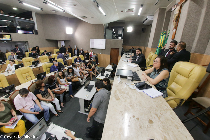 Secretária da Saúde apresenta relatório do 1º quadrimestre de 2019 na Câmara