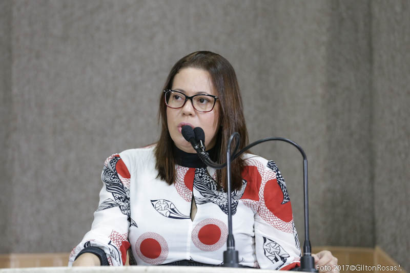 Secretária de Saúde apresenta o relatório do 1º quadrimestre