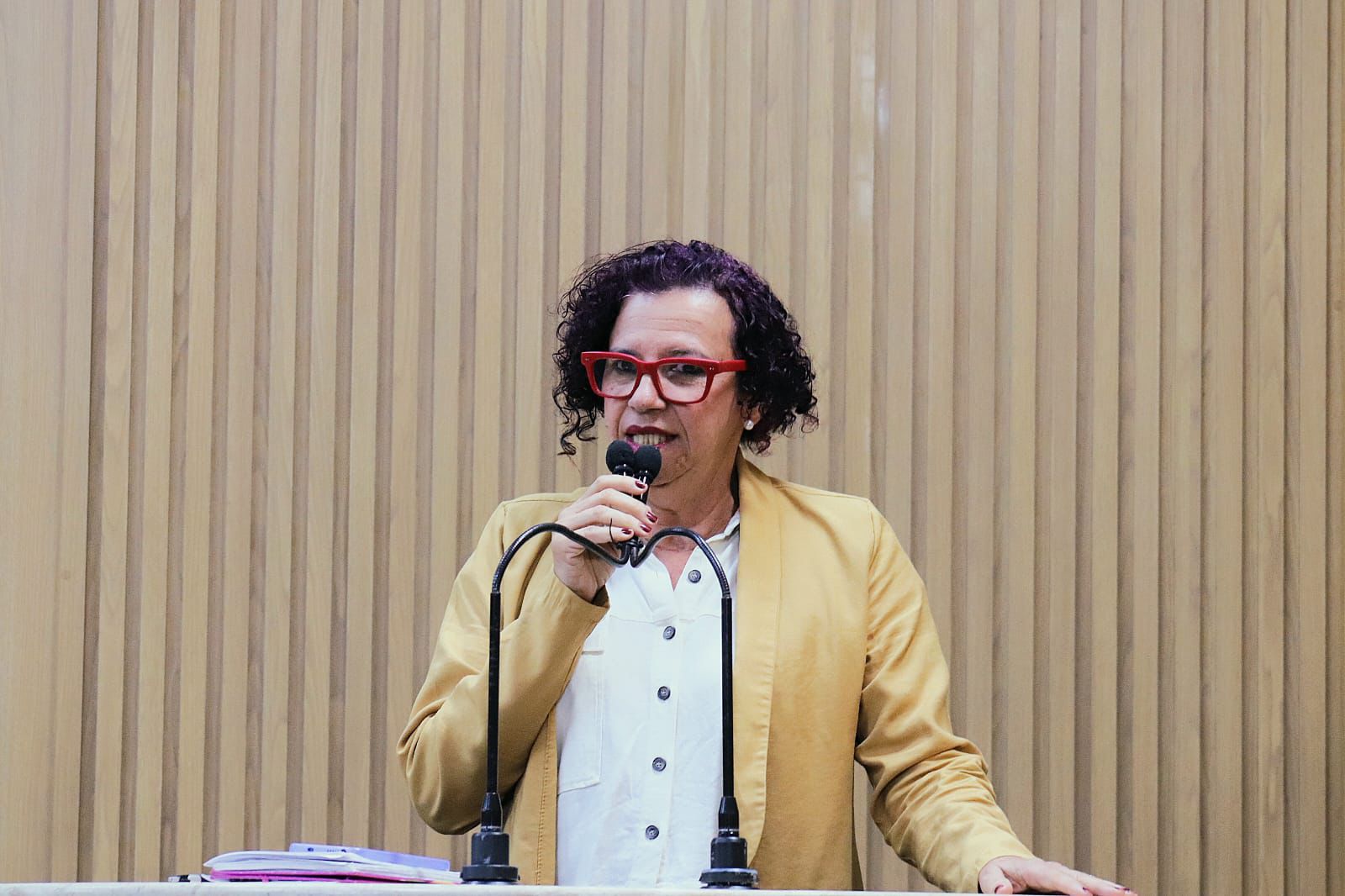 Situação grave da população de Gaza é destacada pela vereadora Sonia Meire 