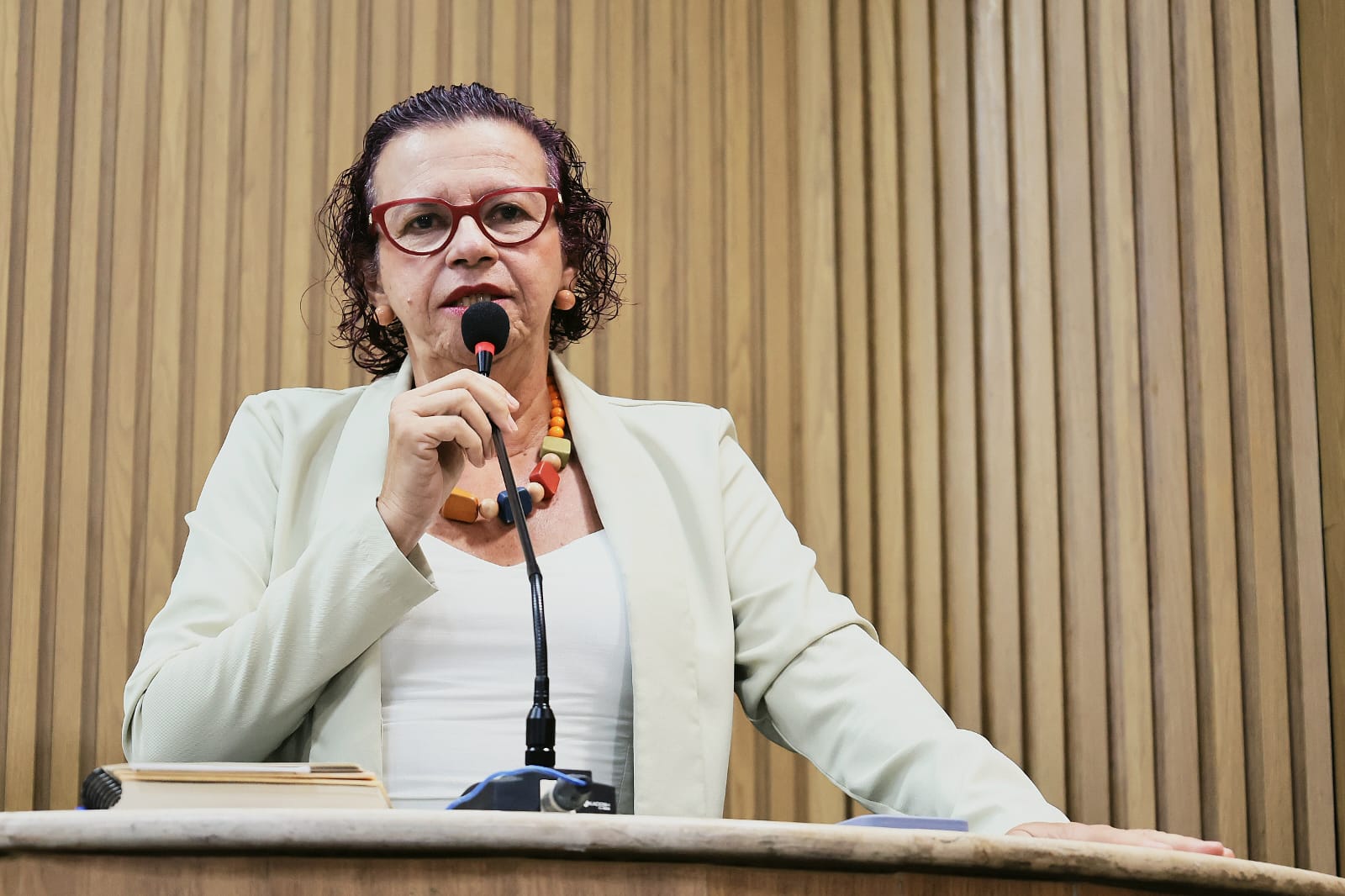  Sonia Meire critica gestão de organização social no Fernando Franco 