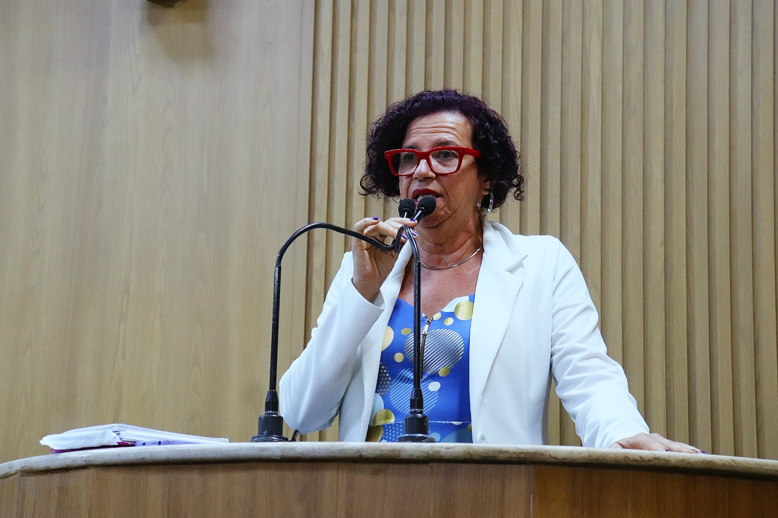 Sonia Meire denuncia problemas da Guarda Municipal 