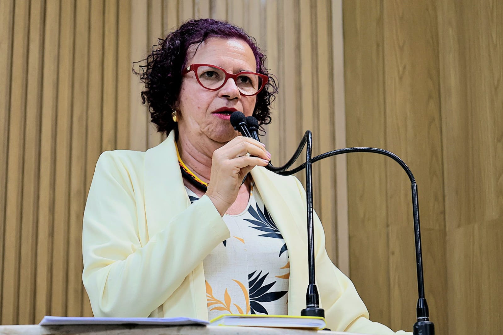 Sonia Meire destaca o Dia da Professora e do Professor