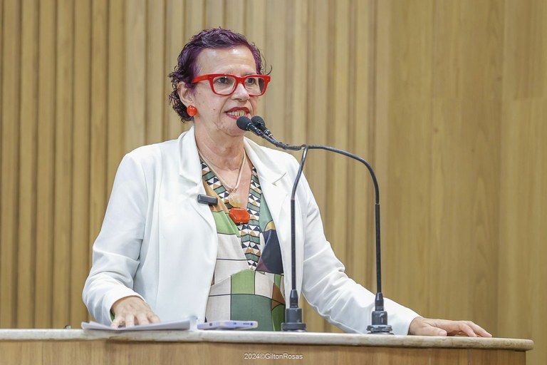 Sonia Meire destaca situação dos brasileiros na tragédia no Rio Grande do Sul 