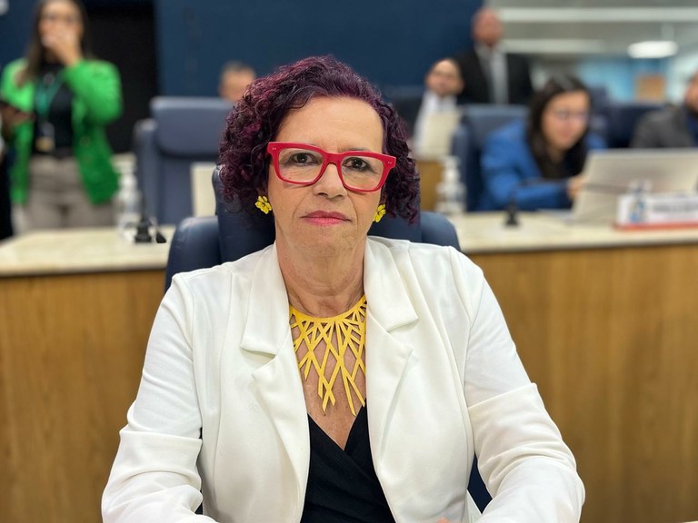 Sonia Meire repudia fala de ex- deputado do MBL contra povo sergipano 