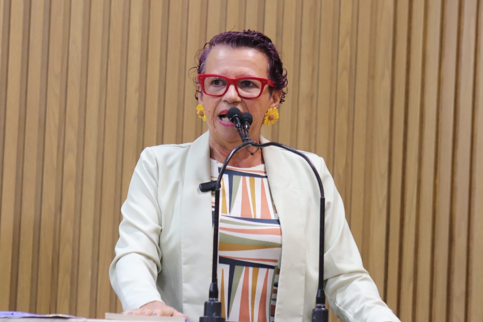 Defesa da Escola Pública é pauta constante da vereadora Sonia Meire