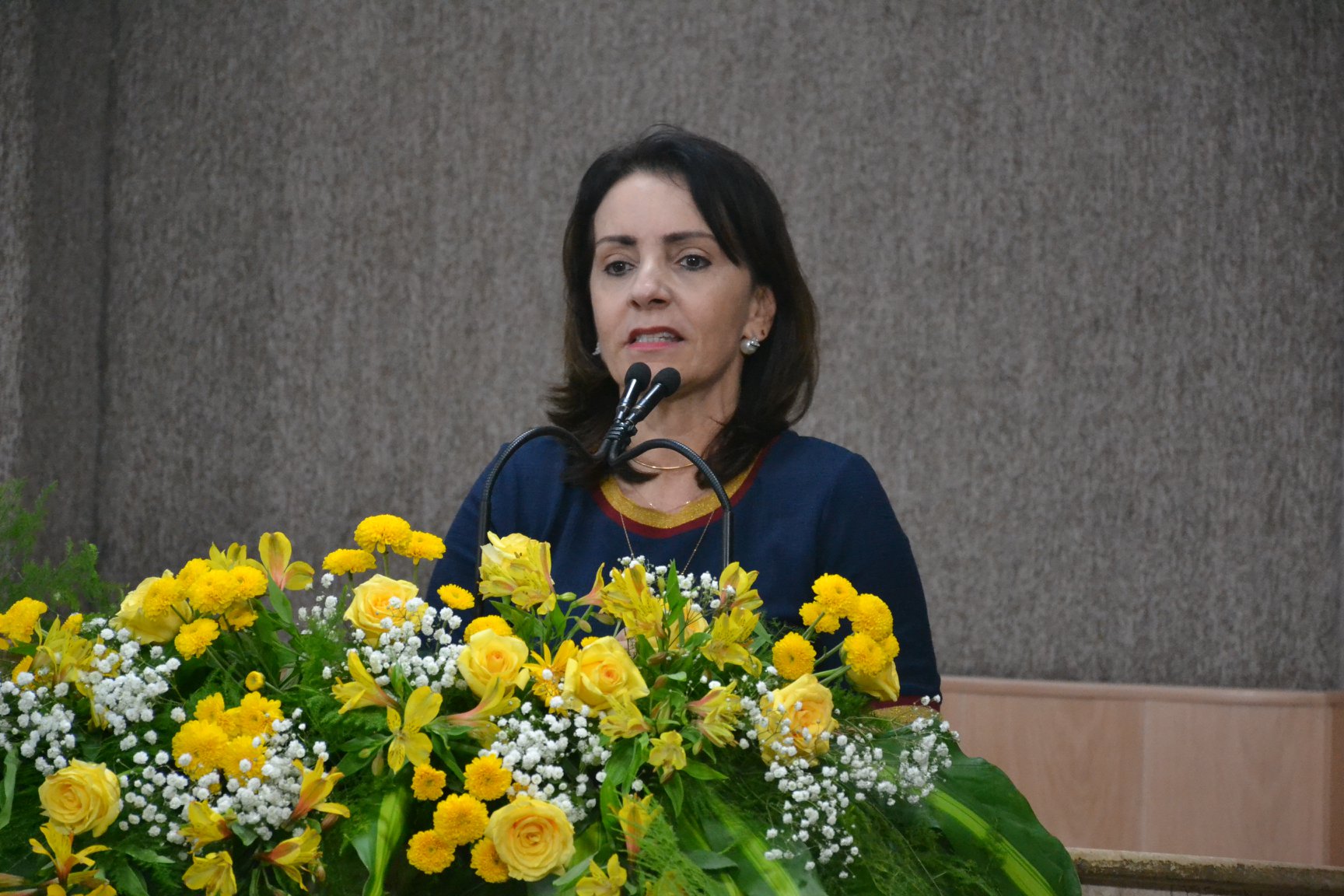 Sororidade será tema de Audiência Pública