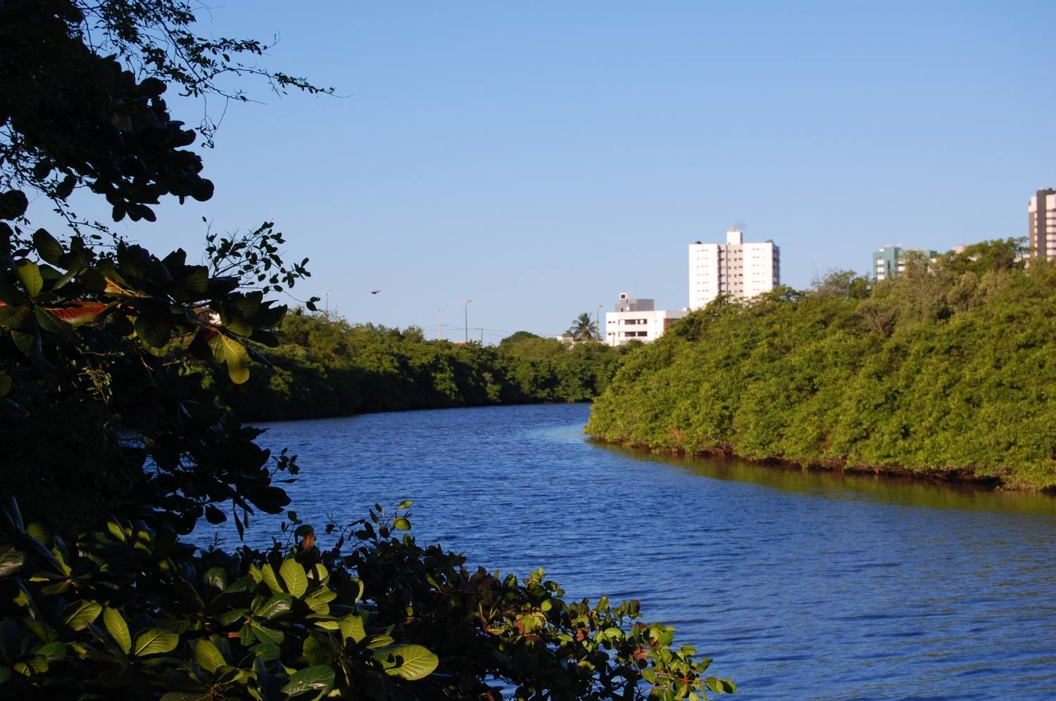  "Todos sabem que a situação do meio ambiente é caótica, só a gestão municipal não enxerga e ainda boicota lei" afina Isac