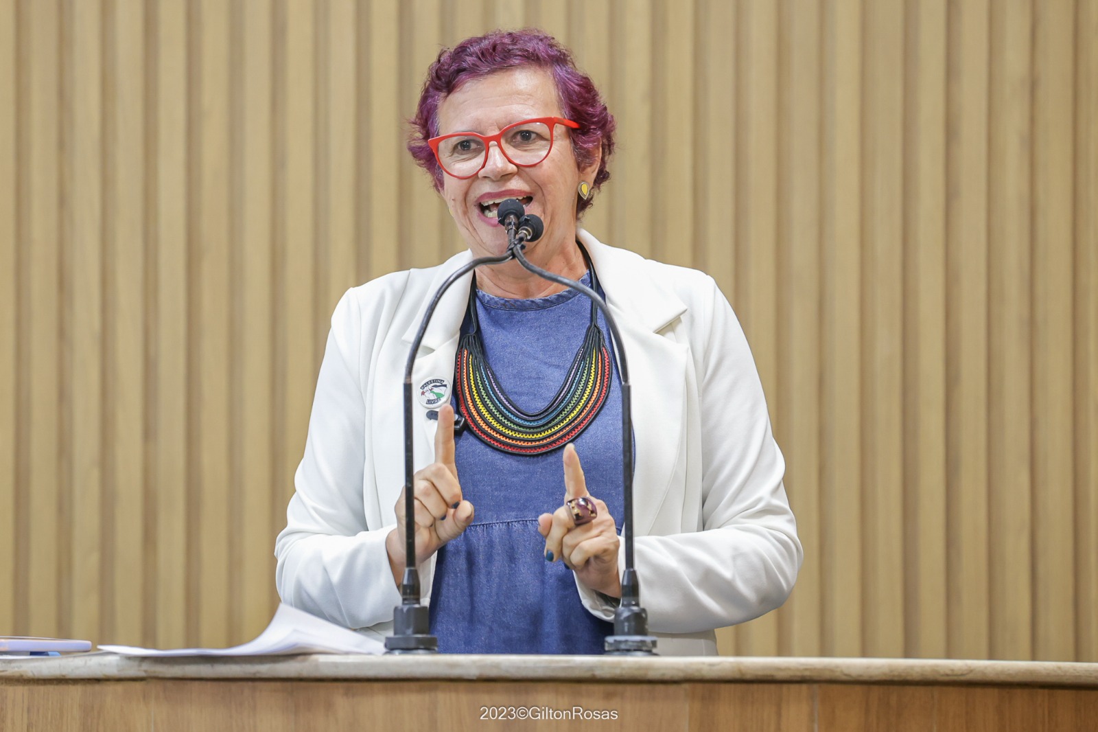 Vereadora professora Sonia Meire realiza Audiência Pública em homenagem aos 50 anos  do hip-hop 