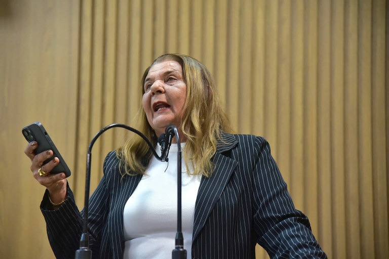 Vereadora Selma França Homenageia Artesãos na Tribuna da Câmara 