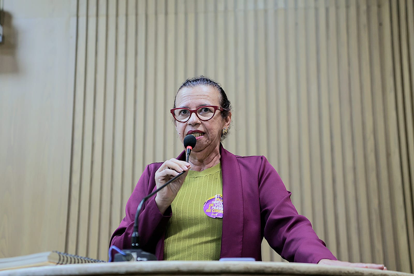 Vereadora Sonia Meire critica buracos nas vias e calçadas de Aracaju 