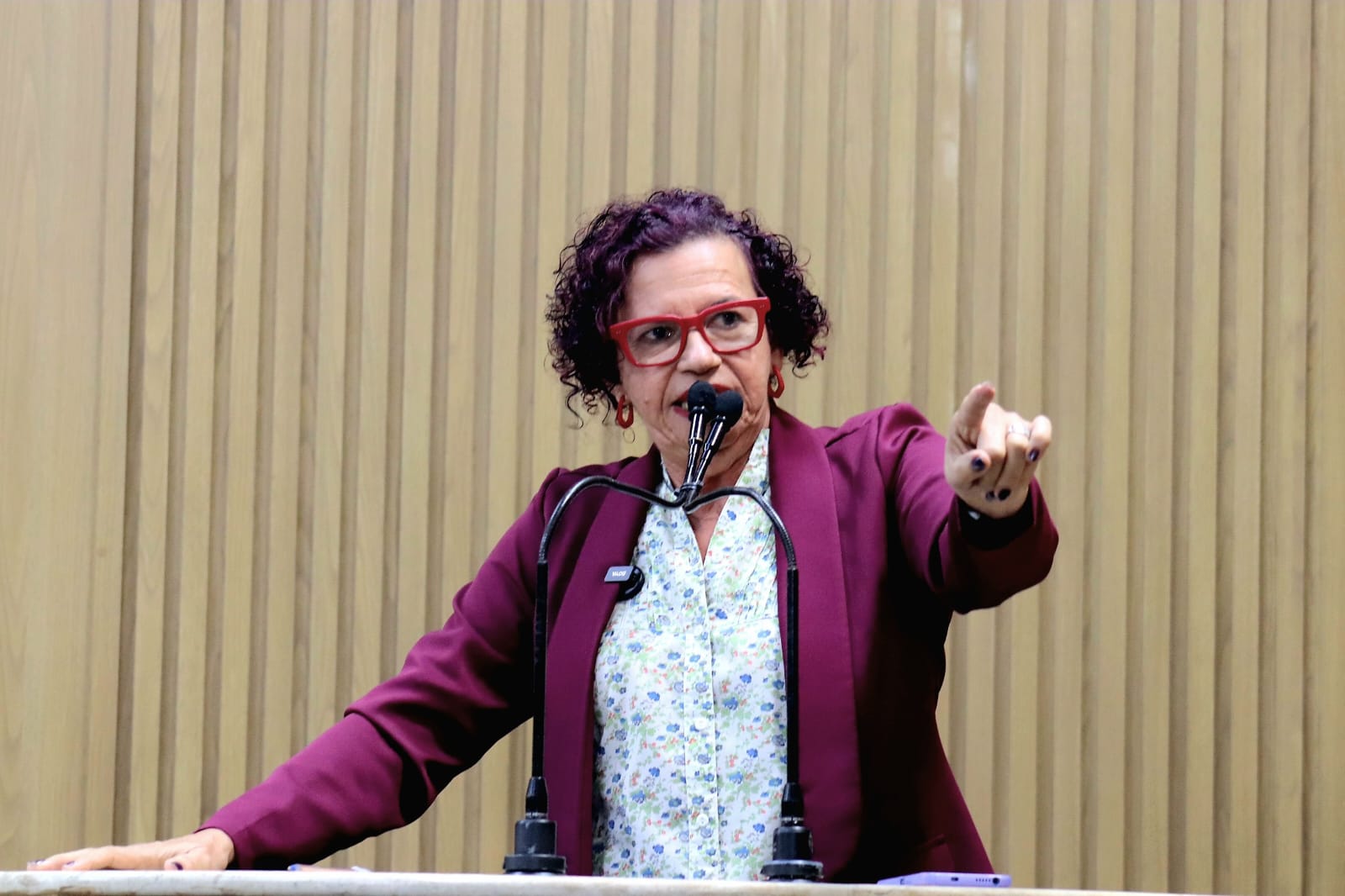 Vereadora Sonia Meire critica interesse da prefeitura de Aracaju em negócios com Israel 