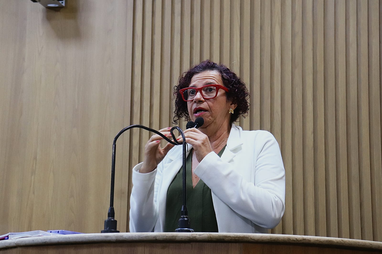 Vereadora Sonia Meire denuncia falta de pagamentos a profissionais da educação municipal 