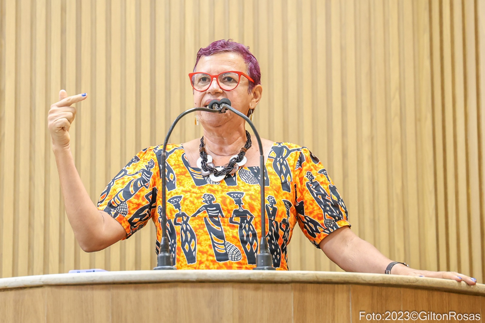 Vereadora Sonia Meire denuncia falta de transparência nas informações sobre o transporte coletivo  