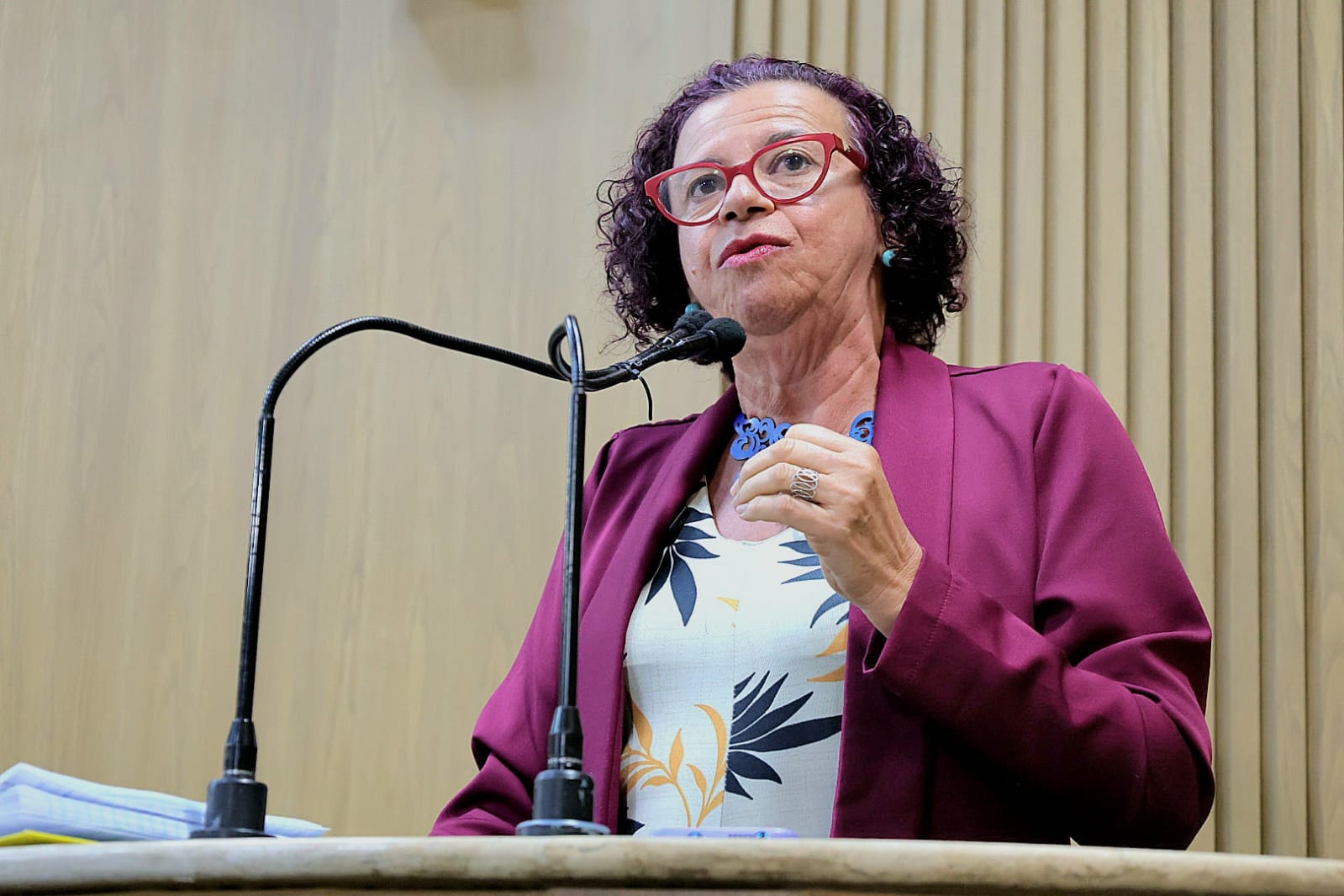 Vereadora Sonia Meire denuncia problemas graves nas escolas municipais 